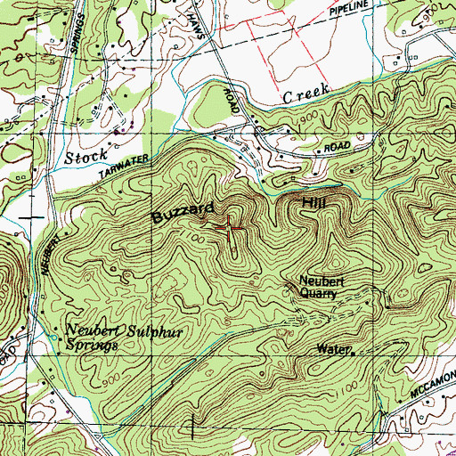 Topographic Map of Buzzard Hill, TN