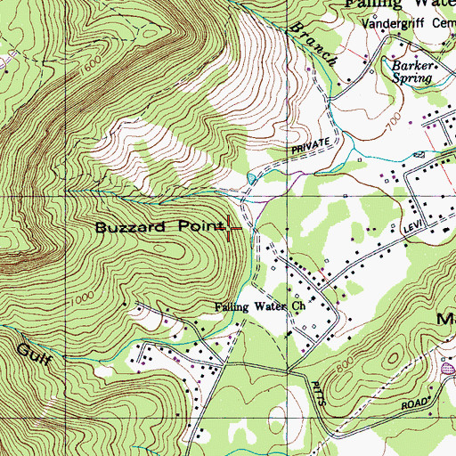 Topographic Map of Buzzard Point, TN