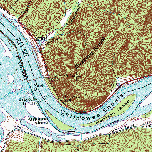 Topographic Map of Buzzard Roost, TN