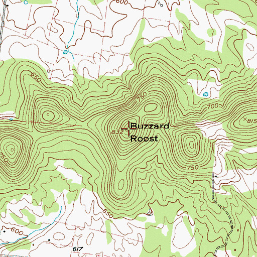 Topographic Map of Buzzard Roost, TN