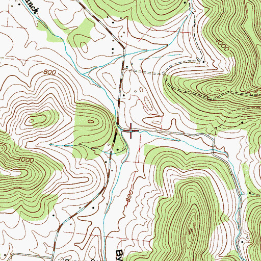 Topographic Map of Bynum Hollow, TN