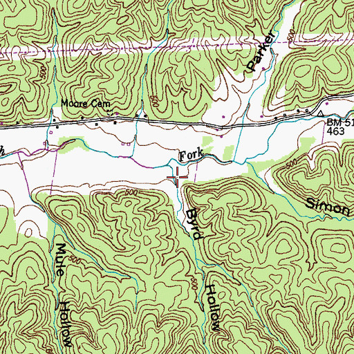 Topographic Map of Byrd Hollow, TN