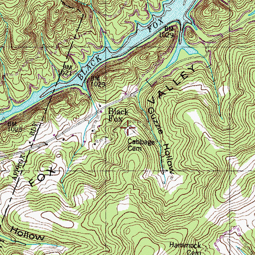Topographic Map of Cabbage Cemetery, TN