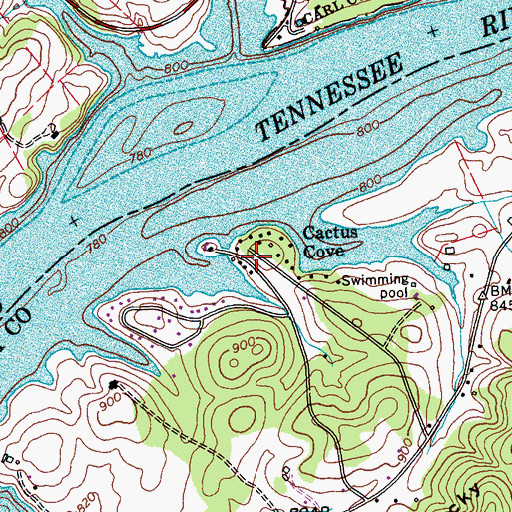 Topographic Map of Cactus Cove, TN