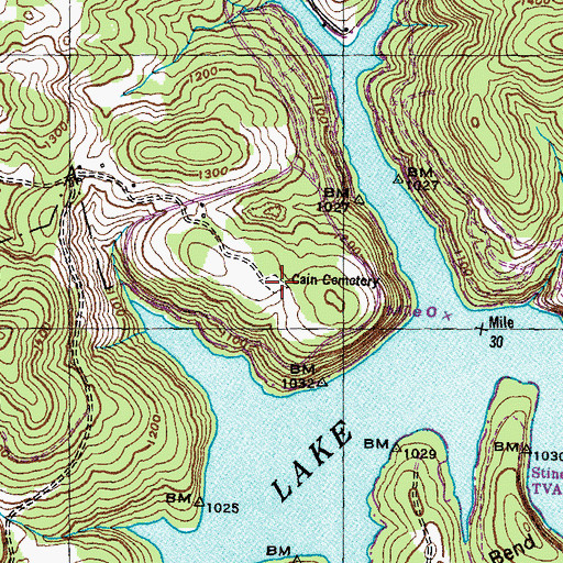Topographic Map of Cain Cemetery, TN