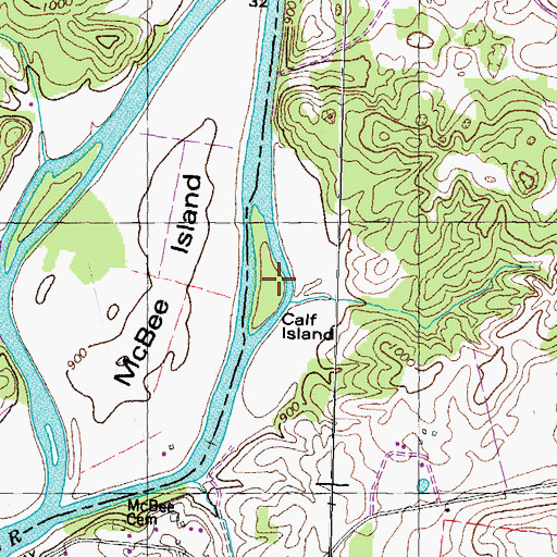 Topographic Map of Calf Island, TN
