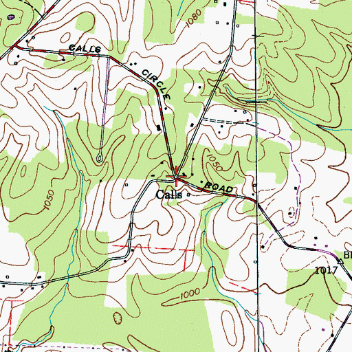 Topographic Map of Calls, TN