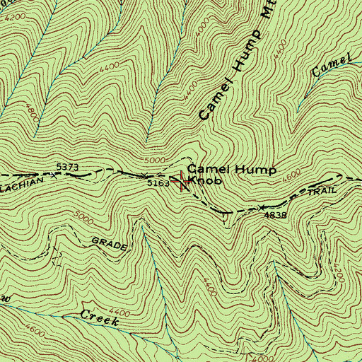 Topographic Map of Camel Hump Knob, NC