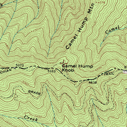 Topographic Map of Camel Hump Mountain, TN