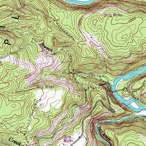 Topographic Map of Camp Branch, TN