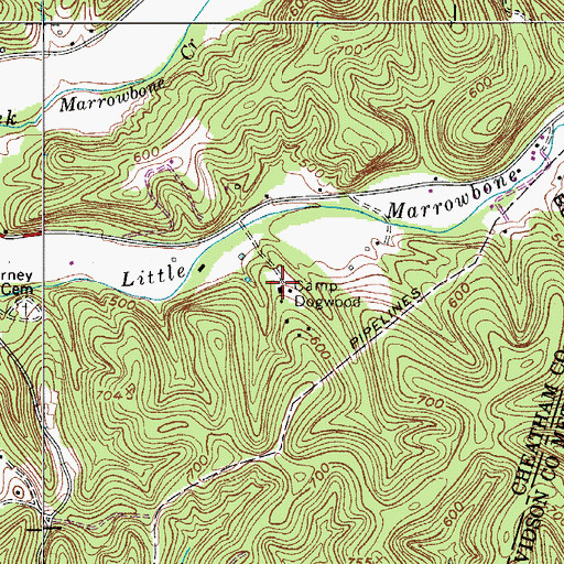 Topographic Map of Camp Dogwood, TN