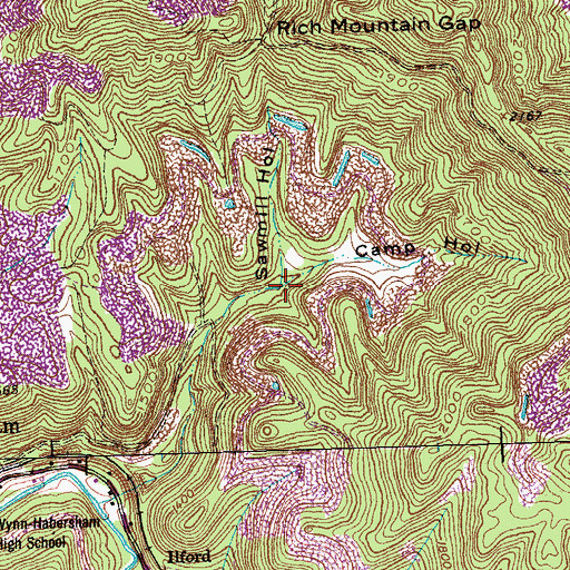 Topographic Map of Camp Hollow, TN