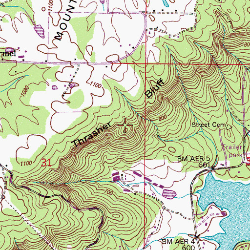 Topographic Map of Thrasher Bluff, AL