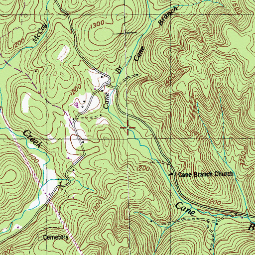 Topographic Map of Cane Branch, TN