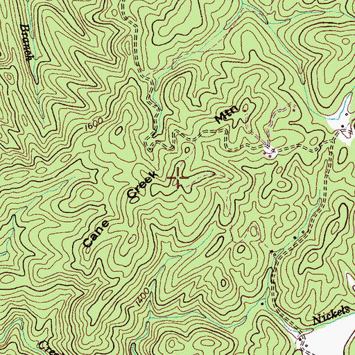 Topographic Map of Cane Creek Mountain, TN