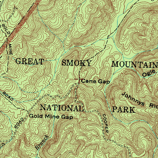 Topographic Map of Cane Gap, TN