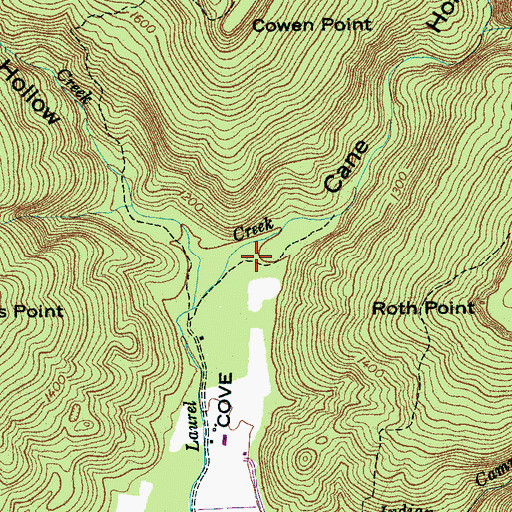 Topographic Map of Cane Hollow, TN