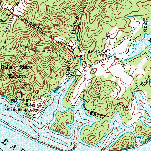 Topographic Map of Cane Hollow, TN
