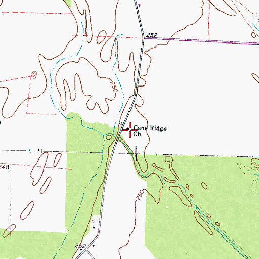 Topographic Map of Cane Ridge Church, TN