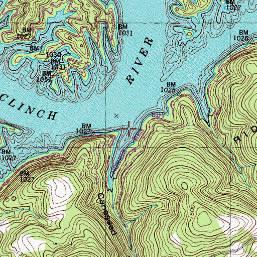 Topographic Map of Caneseed Hollow, TN