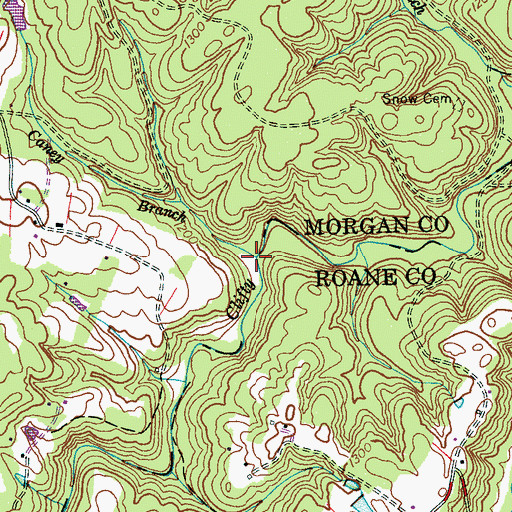 Topographic Map of Caney Branch, TN