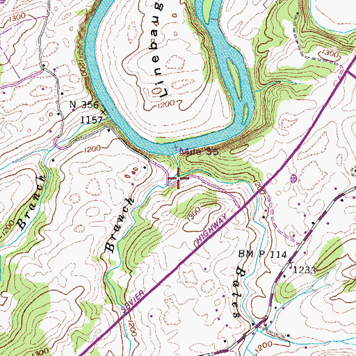 Topographic Map of Caney Branch, TN
