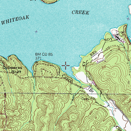 Topographic Map of Caney Branch, TN