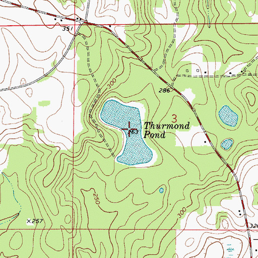 Topographic Map of Thurmond Pond, AL