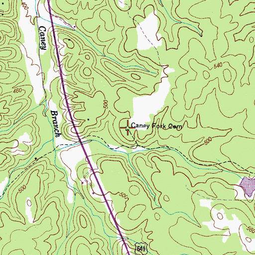 Topographic Map of Caney Fork Cemetery, TN