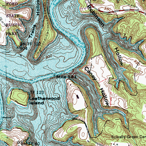 Topographic Map of Caney Hollow, TN
