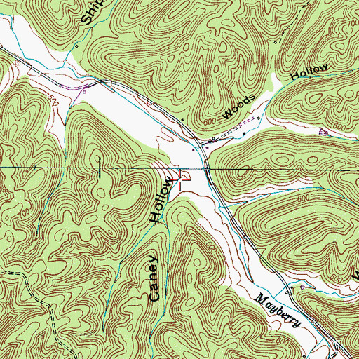 Topographic Map of Caney Hollow, TN