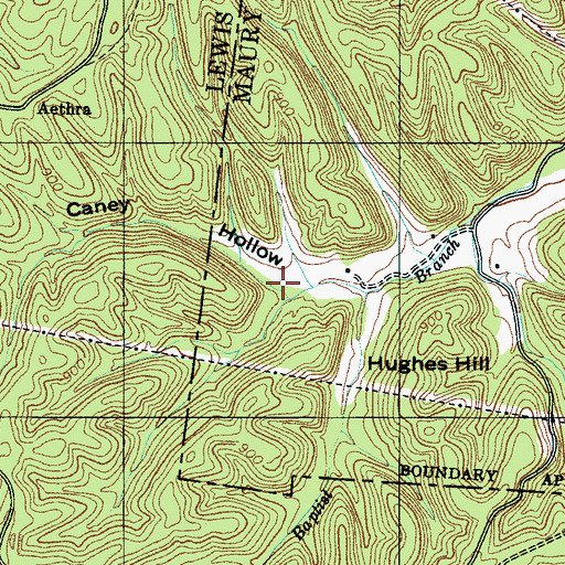Topographic Map of Caney Hollow, TN