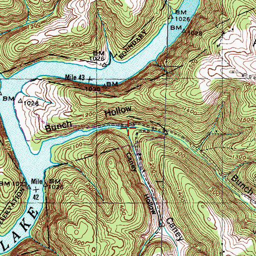 Topographic Map of Caney Hollow, TN