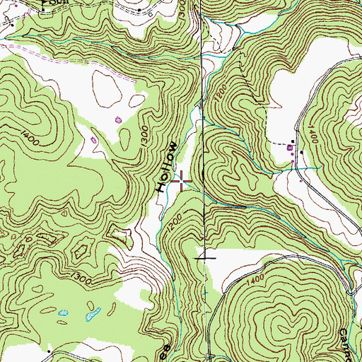 Topographic Map of Cannon Hollow, TN