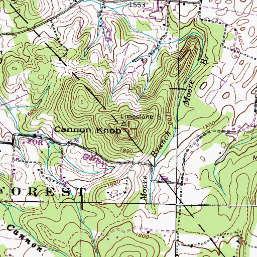 Topographic Map of Cannon Knob, TN