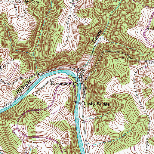 Topographic Map of Canoe Branch, TN