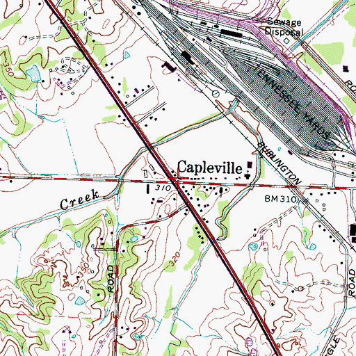 Topographic Map of Capleville, TN