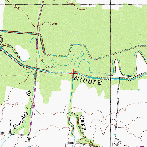 Topographic Map of Capp Branch, TN