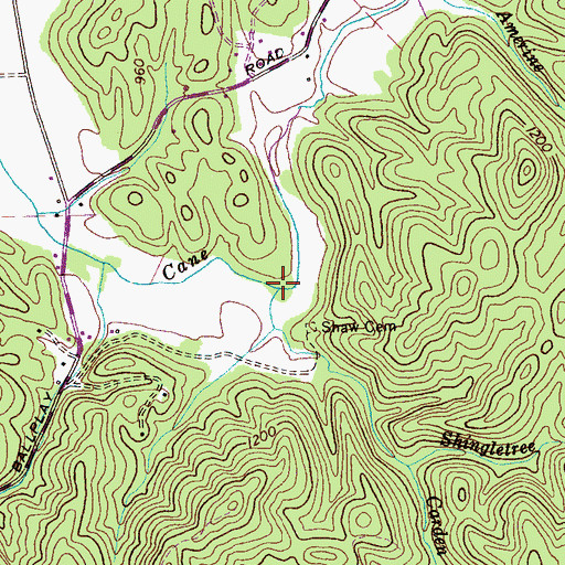 Topographic Map of Carden Branch, TN