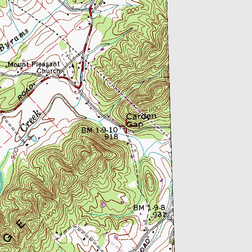 Topographic Map of Carden Gap, TN