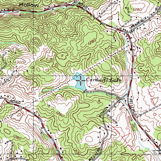 Topographic Map of Cardwell Lake, TN