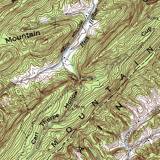 Topographic Map of Carl Thorpe Hollow, TN