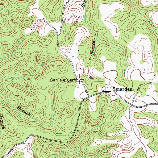Topographic Map of Carlisle Cemetery, TN