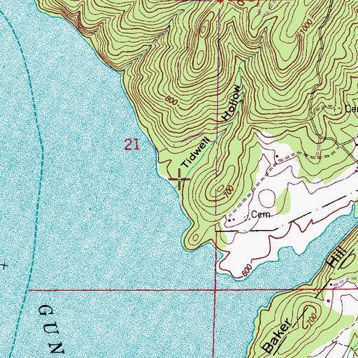 Topographic Map of Tidwell Hollow, AL