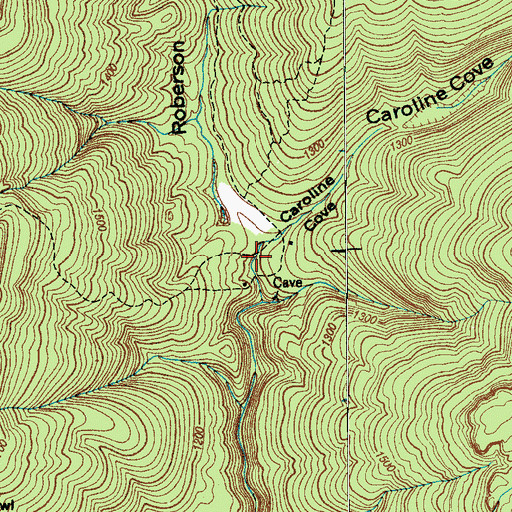 Topographic Map of Caroline Cove, TN