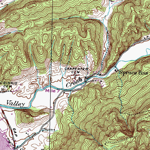 Topographic Map of Carpenter Cemetery, TN