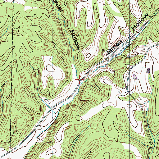 Topographic Map of Carpenter Hollow, TN