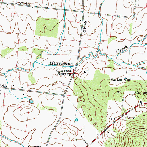 Topographic Map of Carrick Spring, TN
