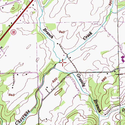 Topographic Map of Carson Branch, TN