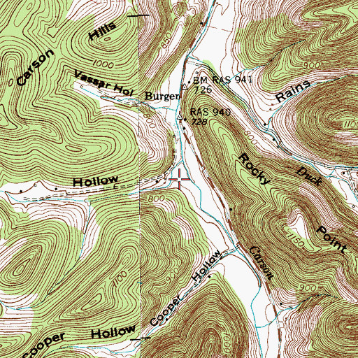 Topographic Map of Carson Hollow, TN